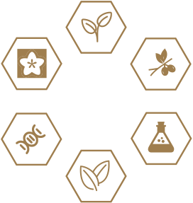 彩神vll官网·(中国)首页大厅