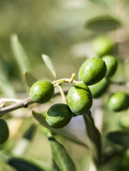 彩神vll官网·(中国)首页大厅